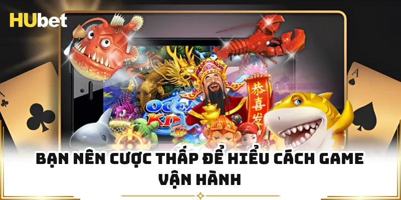 Bạn nên cược thấp để hiểu cách game vận hành